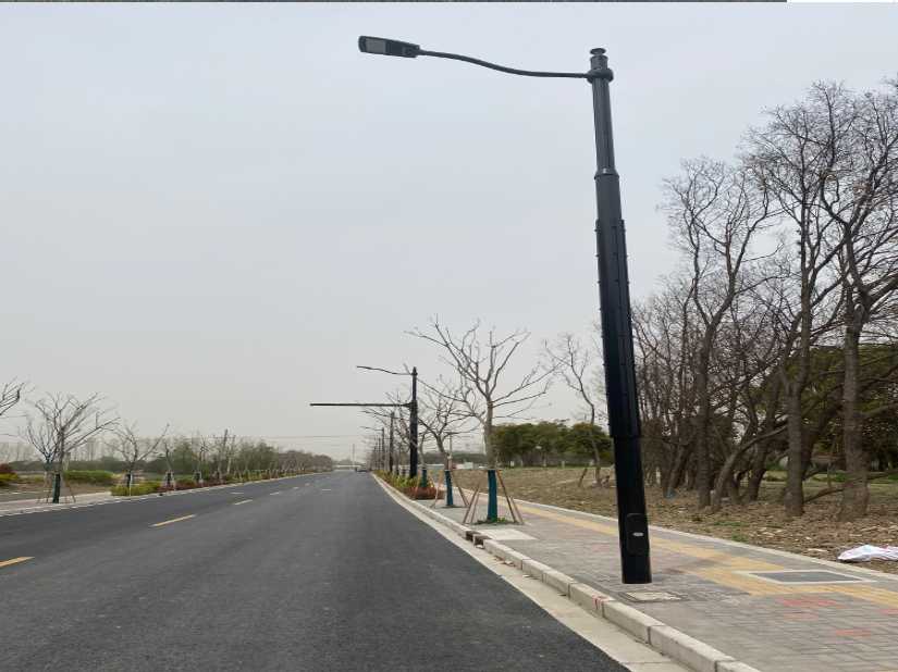 长丰县上海综合杆 太阳能路灯工程